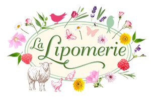 La Lipomerie | Willkommen